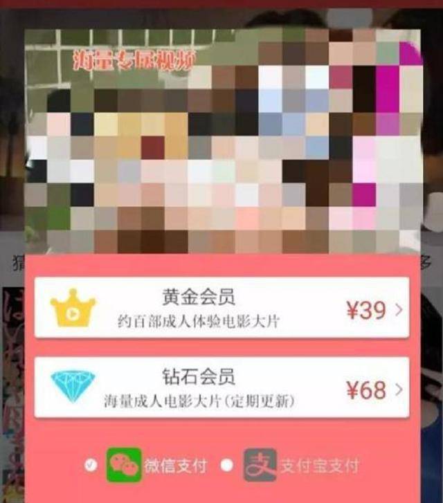 黄色网站成人免费69堂_SGJ9.9.232-第1张图片